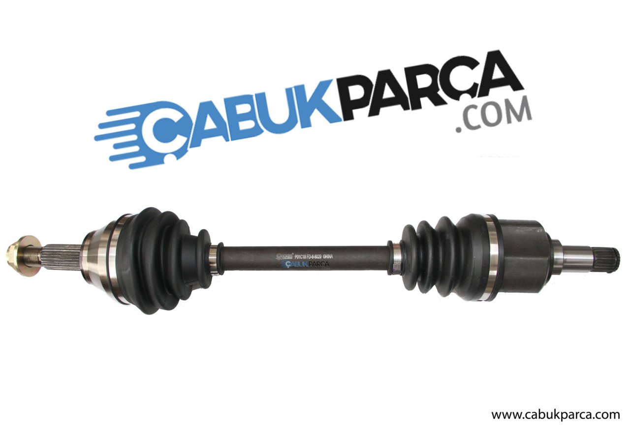 ÖN AKS SOL KALIN KAFA ESCORT