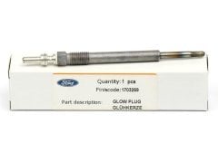 KIZDIRMA BUJISI FIESTA 09>