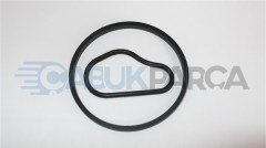 VAKUM POMPA ORİNG TAKIMI FOCUS 05