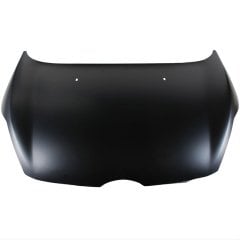 MOTOR KAPUTU FIESTA 09