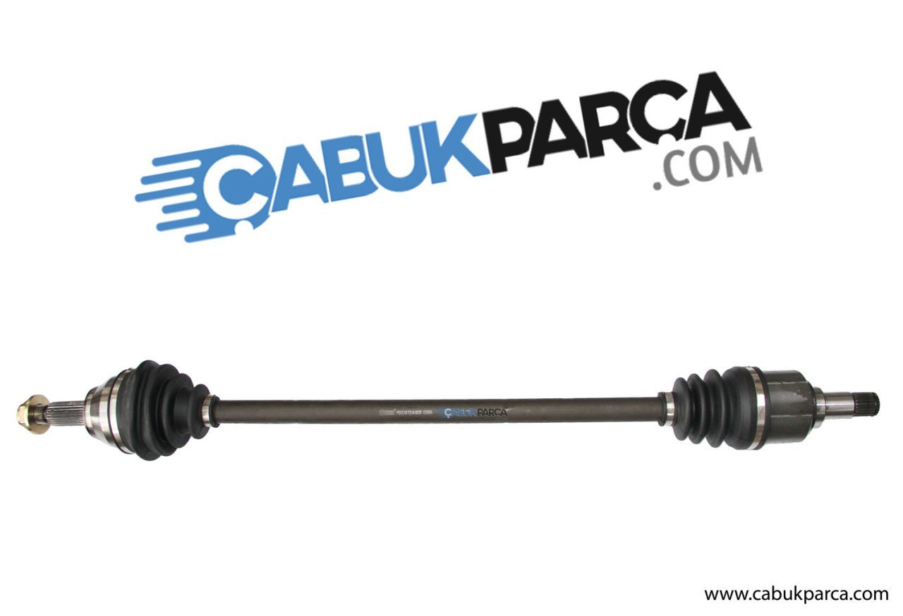 ÖN AKS SAĞ KALIN KAFA ESCORT 91>