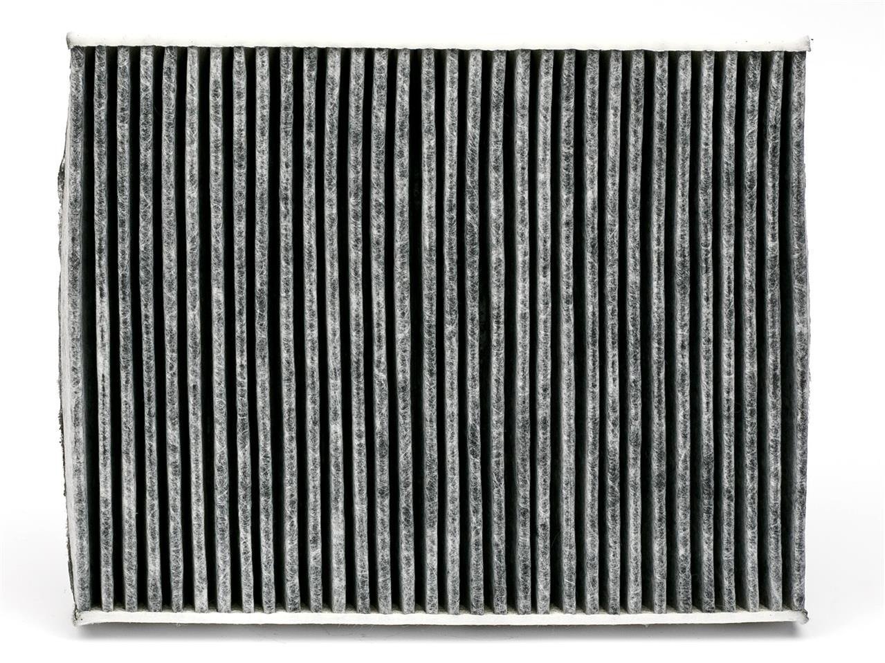 FORD FIESTA POLEN FİLTRESİ KARBONLU 02