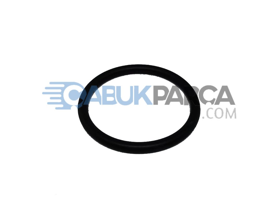 FORD FOCUS MANİFOLD SU HORTUM ORİNGİ