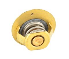 TERMOSTAT 82° FOCUS 98>