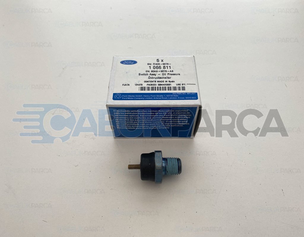 YAG MUSURU ESCORT MONDEO